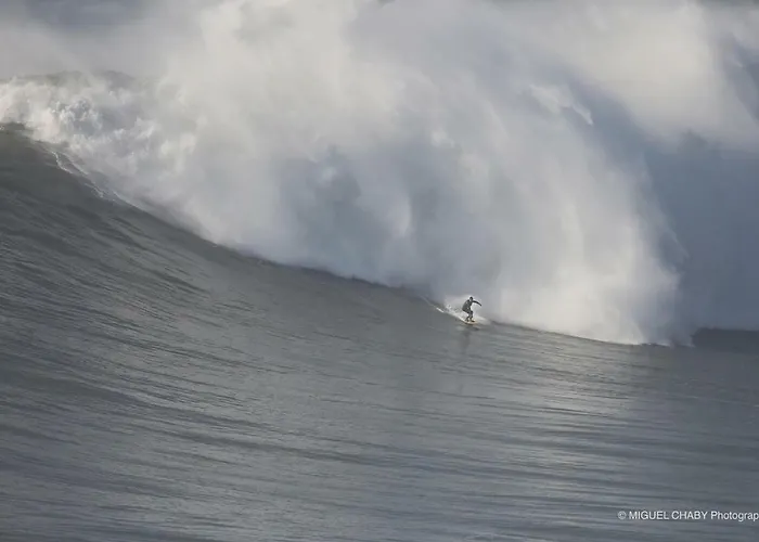 Big Wave Daire *